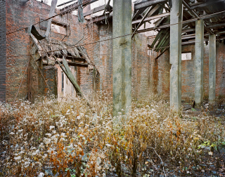 Illustration for article titled Exploring the Decaying Ruins of Brother Island, NYC's Last Unknown Place